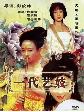 本格推理剧沉默证人海报